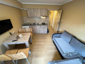 Boni Apartmani Sokobanja